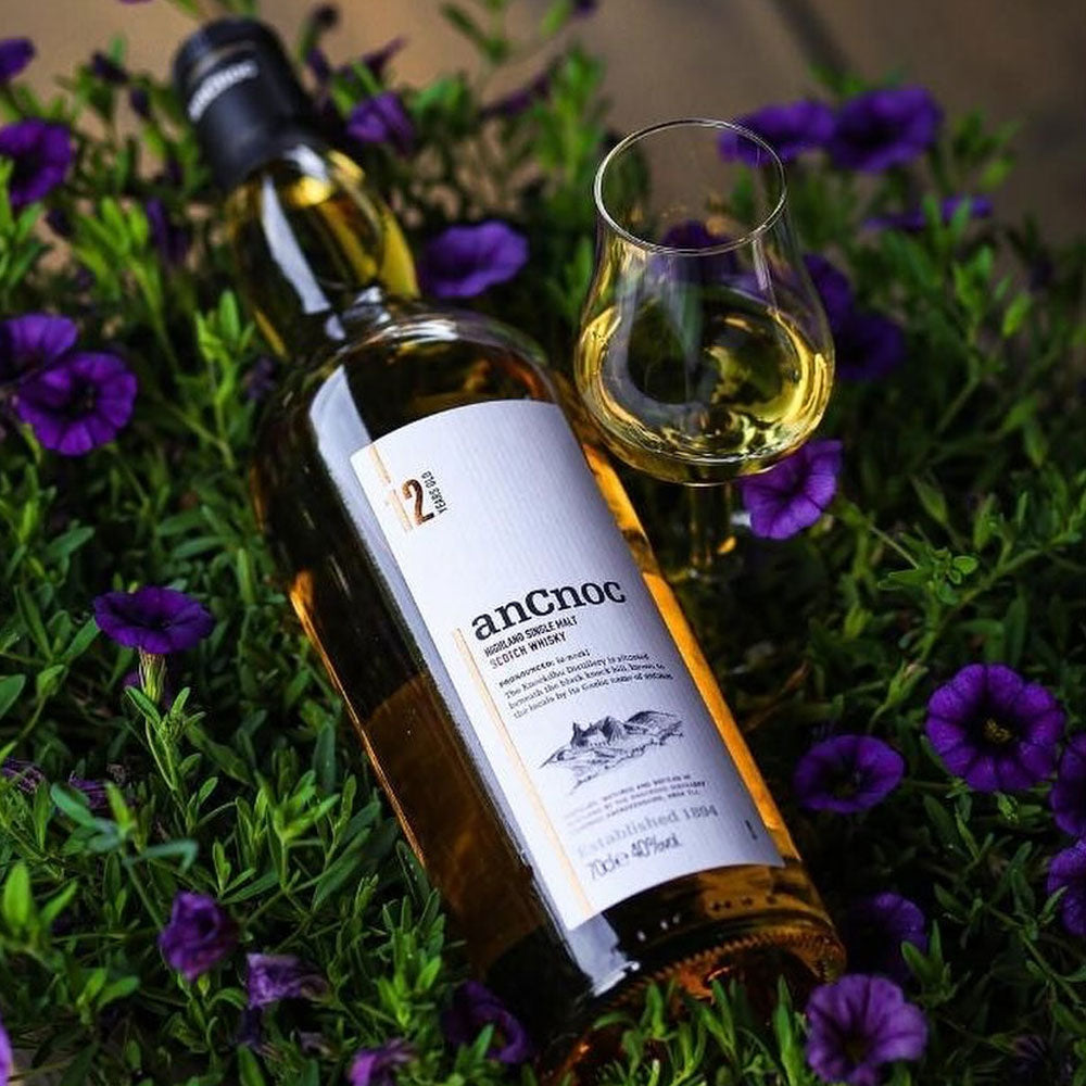 Ancnoc 12 Year Old 700ml Price PH 