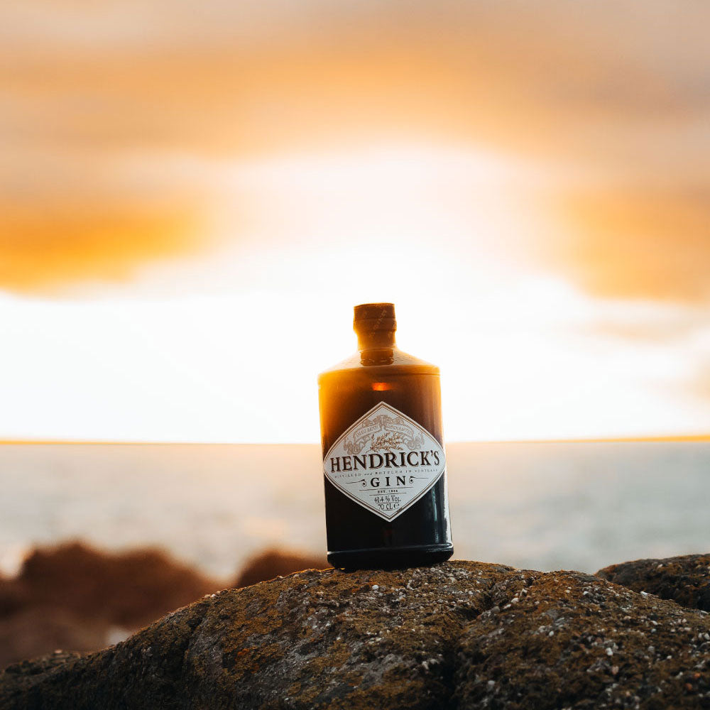 Hendrick's Gin Price 